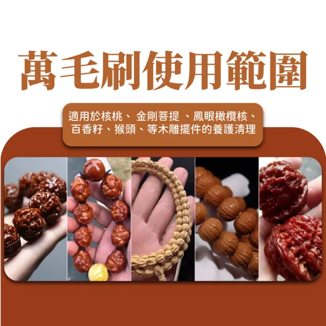 【文玩保養】琥珀柄碳灰硼清潔刷-2入組(公仔盒玩 佛像 GK雕像 拋光 細節刷 縫隙刷 除塵刷 除塵撢 工具)
