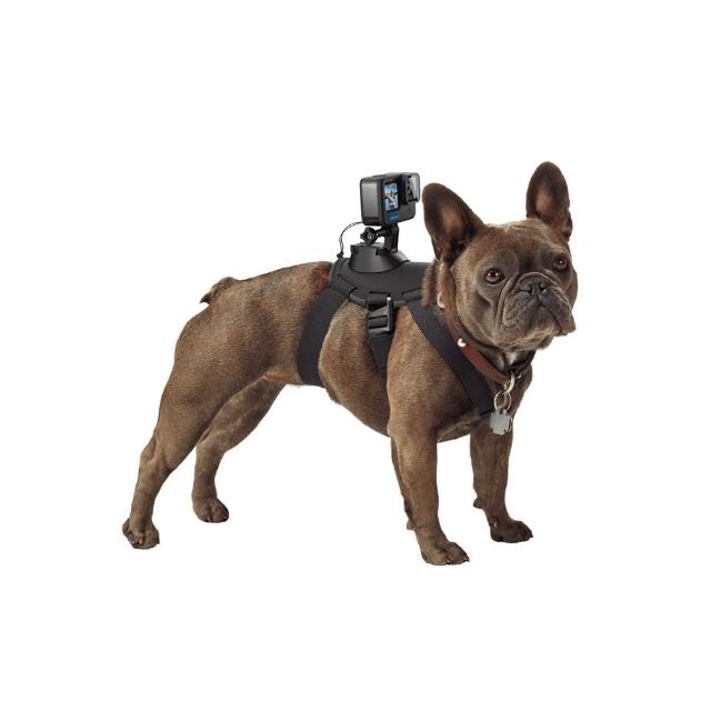 【GoPro】寵物胸背帶 Fetch(公司貨)