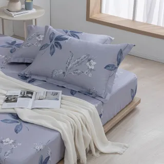 【MONTAGUT 夢特嬌】60支長絨棉三件式枕套床包組-海洛尼(特大)