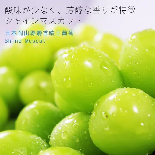 【鮮果日誌】日本岡山縣麝香晴王葡萄(二房)