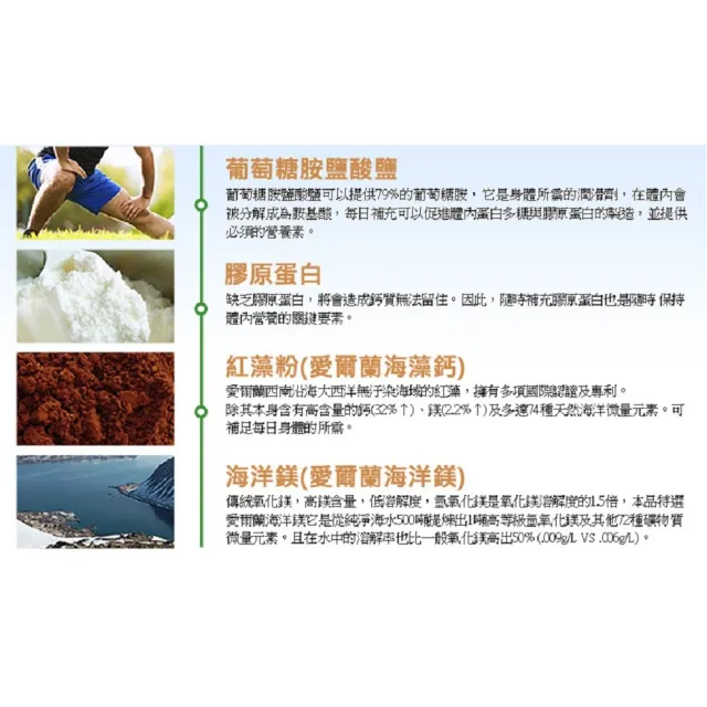 【草本之家】鈣補力3入組(100粒/入)(綠貽貝.葡萄糖胺鹽酸鹽.MSM 甲基硫醯基甲烷)