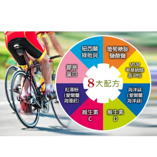 【草本之家】鈣補力3入組(100粒/入)(綠貽貝.葡萄糖胺鹽酸鹽.MSM 甲基硫醯基甲烷)
