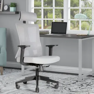 【IDEA】海恩S型調節曲面人體工學椅/辦公椅(任選2色)