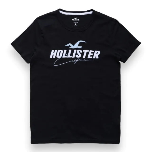 【HOLLISTER Co】海鷗 男生 經典刺繡文字 短袖T恤 男款 短TEE 多色多款(海鷗 男生 短袖 多款多色)