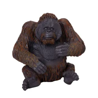 【Mojo Fun】動物模型-紅毛猩猩