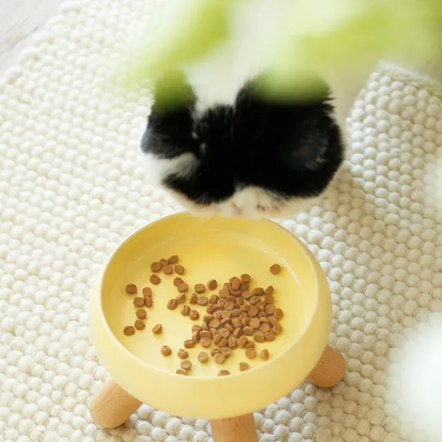 【meoof】寵物陶瓷彩色糧食水碗(多色)
