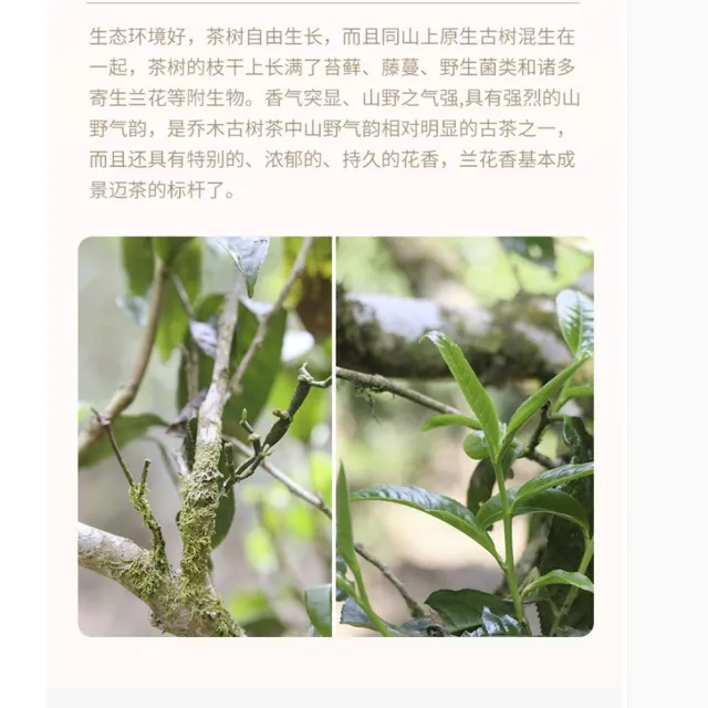 【盛嘉源】柏聯 景邁 2016年(普洱茶   生茶 357g)