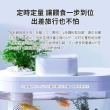 【小米】畫法幾何 兩棲生態懶人魚缸(魚缸搭配餵食器 Pro版)