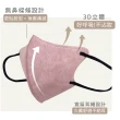 【科爾COOPERATOR】成人3D 立體 一次性 防護 口罩(10片/包 非醫療 防塵口罩)
