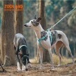 【酷博士】ZOOLAND寵物輕量附繩胸背帶(牽繩 遛狗)