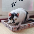 【BOXKITTY 貓抓板與他們的產地】鋼琴貓抓板 喵樂家 最高品質台灣製造(台製貓抓板)