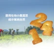 【台灣優格餅乾學院】數字蔬菜餅乾38gx10(鹹餅乾/酥脆鹹香/可口脆餅)