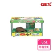 【GEX】烏龜套缸-小-白色(31.5 x 16 x 16.8公分)
