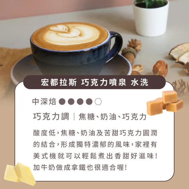 【Buon Caffe 步昂咖啡】宏都拉斯 巧克力噴泉 水洗 中深焙咖啡豆 巧克力調(半磅227g/袋；接單現烘)