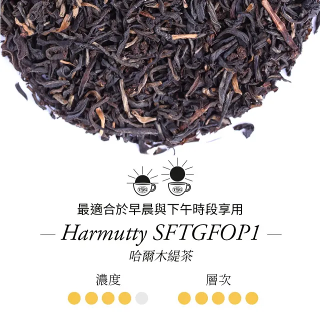 【TWG Tea】手工純棉茶包 哈爾木緹茶 15包/盒(Harmutty SFTGFOP1;紅茶)