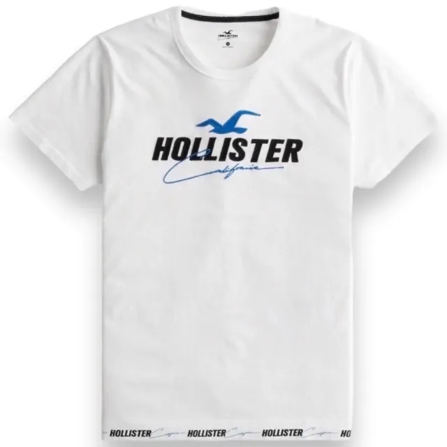 【HOLLISTER Co】海鷗 男生 多款 短袖T恤 男款 短TEE 多色多款(海鷗 男生 短袖 多款多色)