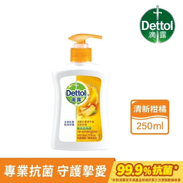 【Dettol 滴露】經典松木/清新柑橘/滋潤倍護潔手液洗手乳(250ml*1入)