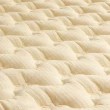 【MUSGARI瑪格麗】米西亞 乳膠獨立筒 彈簧床墊-特大7尺