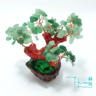 【HERA 赫拉】HERA事業得意東菱玉招財樹/發財樹