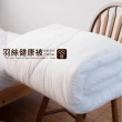 【Lust 生活寢具】羽絲絨、優質健康被 保暖透氣安心檢驗【2.5公斤】(白色)