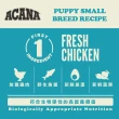 【ACANA】挑嘴幼犬無穀配方 雞肉+蔬果2公斤(狗糧、狗飼料、狗乾糧)