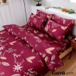 【Lust 生活寢具】普羅旺紅 100%純棉、雙人加大6尺精梳棉床包/枕套/舖棉被套6X7尺組、台灣製