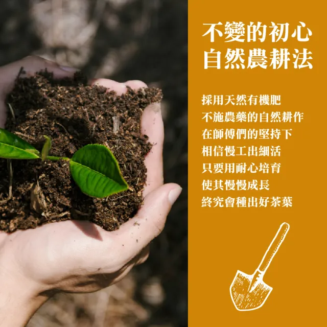 【名池茶業】二兩灑金茶葉春節中秋禮盒-梨山75gx2罐x4盒(共1斤)