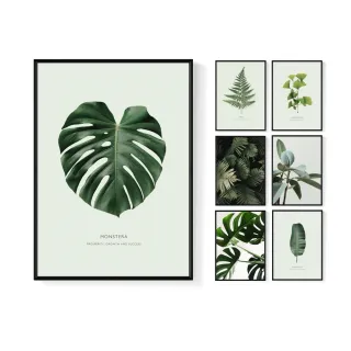 【菠蘿選畫所】清新療癒綠植系列掛畫-42x60cm(龜背竹相框掛牆/簡約植物攝影牆壁裝飾/臥室壁畫)