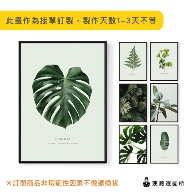 菠蘿選畫所 清新療癒綠植系列掛畫-42x60cm(龜背竹相框掛牆/簡約植物攝影牆壁裝飾/臥室壁畫)