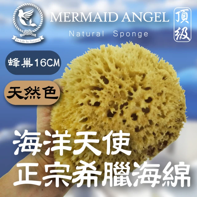 天然海綿