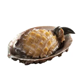 【小川漁屋】南非活凍帶殼鮑魚2包(500g±10%/包/約6-8粒)