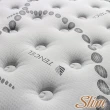 【SLIM 紓壓型】天絲記憶膠銀離子抗菌彈簧床墊(雙人5尺)