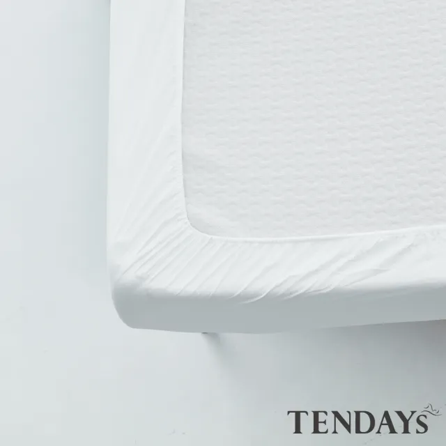 【TENDAYS】健康防蹣床包套枕套床包組合(加大雙人三件組-6尺+枕套X2)