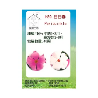 【蔬菜工坊】H39.日日春種子(混合色高45-60cm)