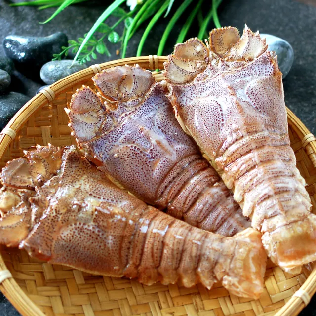 【築地一番鮮】斯里蘭卡頂級蝦蛄12隻(200g-250g/隻)