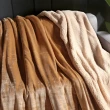 【Betrise曙光】抗靜電升級款-暖柔金貂絨雙面毯(150X200cm)