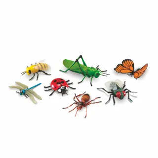 【Learning Resources】超大昆蟲模型  科學遊戲 感官觀察幼兒園保姆(益智成長 邏輯建構 原裝進口)