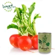 【iPlant】易開罐頭小農場-櫻桃蘿蔔(內含種子培養土肥料花盆)