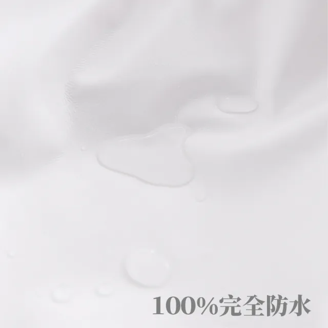 【EverSoft 寶貝墊】Nano銀離子抗菌 萌寵物必備 100%防蟎防水透氣雙效合一床包式保潔墊(雙人特大180x210cm)