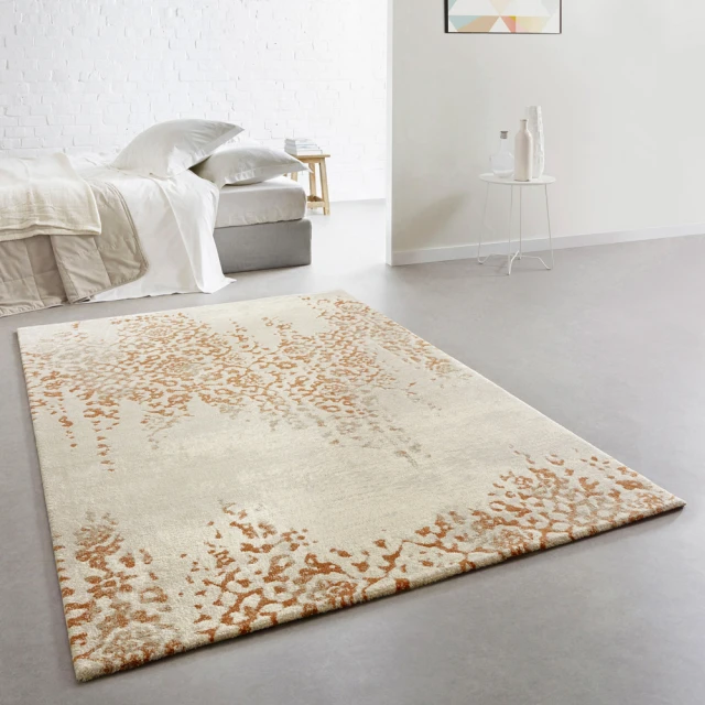 【范登伯格】比利時 歐斯特 都會流行地毯-印象(160x230cm)
