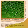 【名池茶業】絕品手捻果甜梨山品級高冷茶葉75gx24包(共3斤)