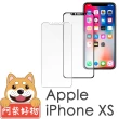 【阿柴好物】Apple iPhone XS(滿版鋼化玻璃保護貼)