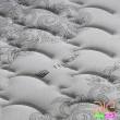 【aie】天絲棉+竹碳紗+記憶膠蜂巢式獨立筒床墊-雙人5尺(實惠型)