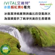 【IVITAL 艾維特】微藻蝦紅素DHA+EPA膠囊1入組(共60粒/冰島蝦紅素6毫克/微藻DHA+EPA/全素)