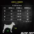 【ELITE PET】經典反光 寵物三角胸背 L號(紅/藍/黑)
