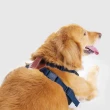 【SPUTNIK 斯普尼克】寵物胸背帶Harness-L(寵物胸背帶/狗狗適用/寵物外出用品)