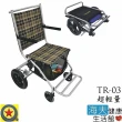 【海夫健康生活館】輪昇 快速收折 可收踏板 介護 助步車 購物車(TR-03)