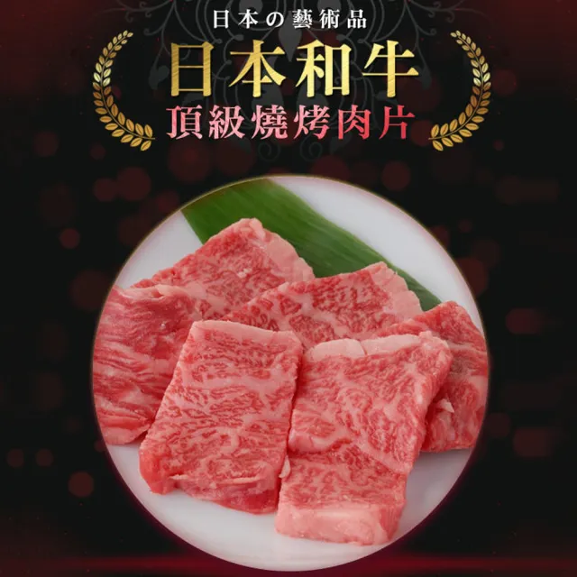 【好神】日本頂級和牛霜降肉片6盒組(約11-14片-100g/盒)