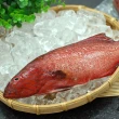【築地一番鮮】峇里島野生紅鰷石斑魚4條(約450g/條)