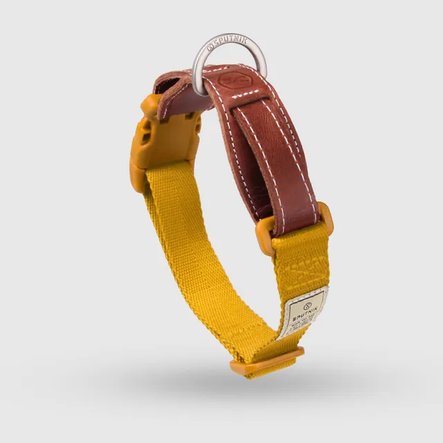 【SPUTNIK 斯普尼克】寵物頸圈Collar-M(寵物項圈/狗狗適用/寵物外出用品)
